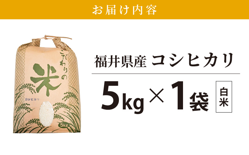 コシヒカリ 5kg 福井県産【白米】【お米 こしひかり 5キロ 人気品種】 [e30-a079]