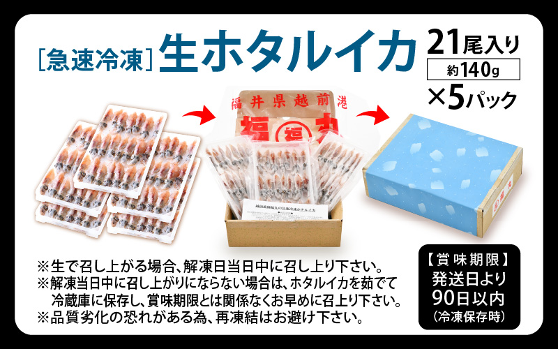 急速冷凍 生 ホタルイカ 21尾入 × 5パック 合計約700g（刺身・しゃぶしゃぶ用） 上品な甘みを存分にお楽しみください！ [e15-a015]