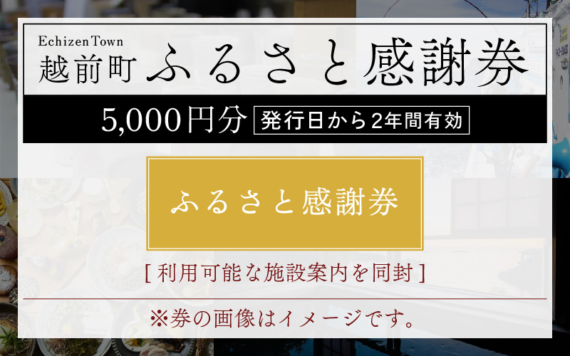 越前町ふるさと感謝券（5,000円分）【宿泊 レジャー アウトドア BBQ 体験型 宿泊券 福井県】 [e05-a001]