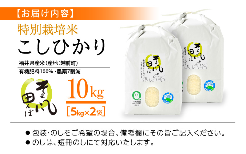 令和6年産 米 特別栽培米 コシヒカリ 10kg 福井県産【こしひかり 10キロ 精米 人気品種 有機肥料100% 減農薬栽培】 [e10-b002]