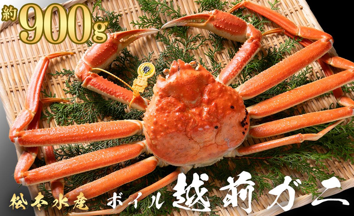 越前ガニ ボイル 約900g 高島屋 選定品 ズワイガニ かに 海鮮 海産物 海の幸 魚介 魚介類 越前かに 越前カニ 越前がに ずわいがに ずわい蟹 カニ 蟹 ボイルガニ 冷蔵 冷蔵配送 福井県 福井 若狭町 若狭