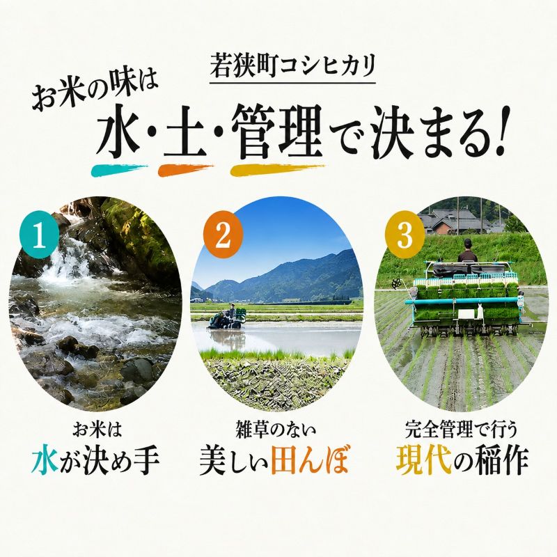 米 令和8年産 コシヒカリ 5kg 白米 精米 単一原料米 一等米 ブランド米 5キロ