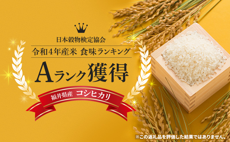 【令和6年度産】新米 先行予約 コシヒカリ 10kg 一等米 米 お米 おこめ こめ コメ 白米 精米 ご飯 ごはん たごころ農園 福井県 福井