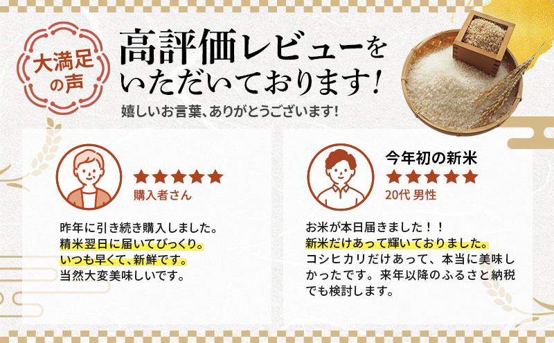 米 令和6年産 コシヒカリ 10kg 白米 精米 こめ コメ 一等米 特A 特a米 新米 こしひかり 山心ファーム 福井 福井県 若狭町