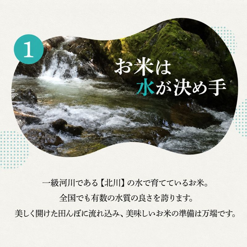 【ふるさと納税】コシヒカリ 米 定期便 5kg 10kg 選べる 令和8年産 新米 先行予約 白米 精米 一等米 単一原料米 3ヶ月 6ヶ月 3回 6回 5キロ 10キロ お米 おこめ こめ ご飯 こしひかり 産地直送 福井県産 福井県　若狭町