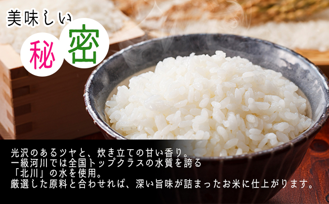 【3ケ月連続お届け】令和6年度産 新米 先行予約 コシヒカリ 10kg 一等米 米 お米 おこめ こめ コメ 白米 精米 ご飯 ごはん たごころ農園 福井県 福井