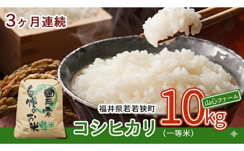 【3ヶ月連続】令和8年産福井県若狭町コシヒカリ（一等米）10kg（山心ファーム） お米 福井県産 甘い