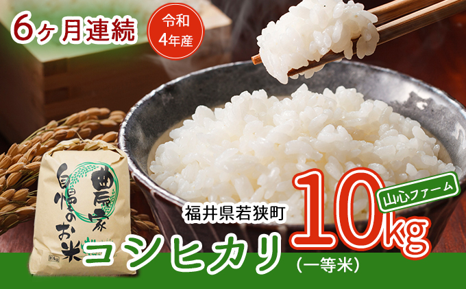 【6ヶ月連続】令和5年産福井県若狭町コシヒカリ（一等米）10kg（山心ファーム）