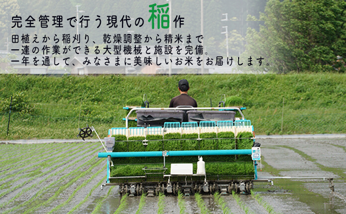 【6ヶ月連続】令和5年産福井県若狭町コシヒカリ（一等米）10kg（山心ファーム）