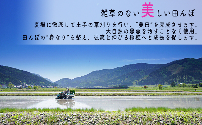 【3ヶ月連続】令和5年産福井県若狭町コシヒカリ（一等米）5kg（山心ファーム）