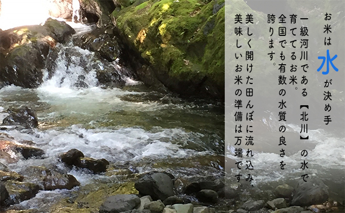 【3ヶ月連続】令和5年産福井県若狭町コシヒカリ（一等米）5kg（山心ファーム）