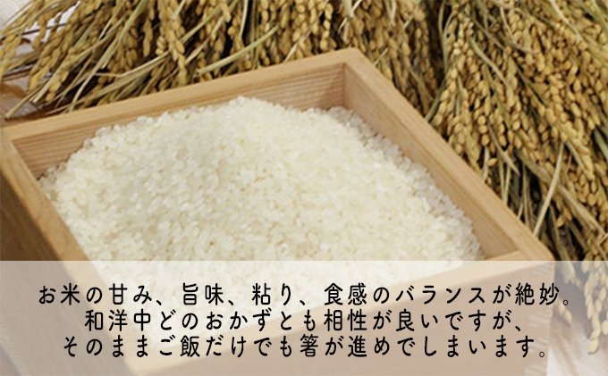 【6ヶ月連続】令和5年産福井県若狭町コシヒカリ（一等米）5kg（山心ファーム）