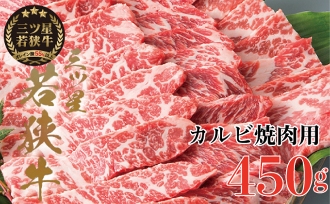 三ツ星 若狭牛 カルビ 焼肉用 450g 高島屋 選定品 焼肉 黒毛和牛 和牛 ブランド牛 牛肉 牛 肉 お肉 ビーフ 焼き肉 BBQ バーベキュー 冷凍 冷凍配送 福井県 福井 若狭町 若狭