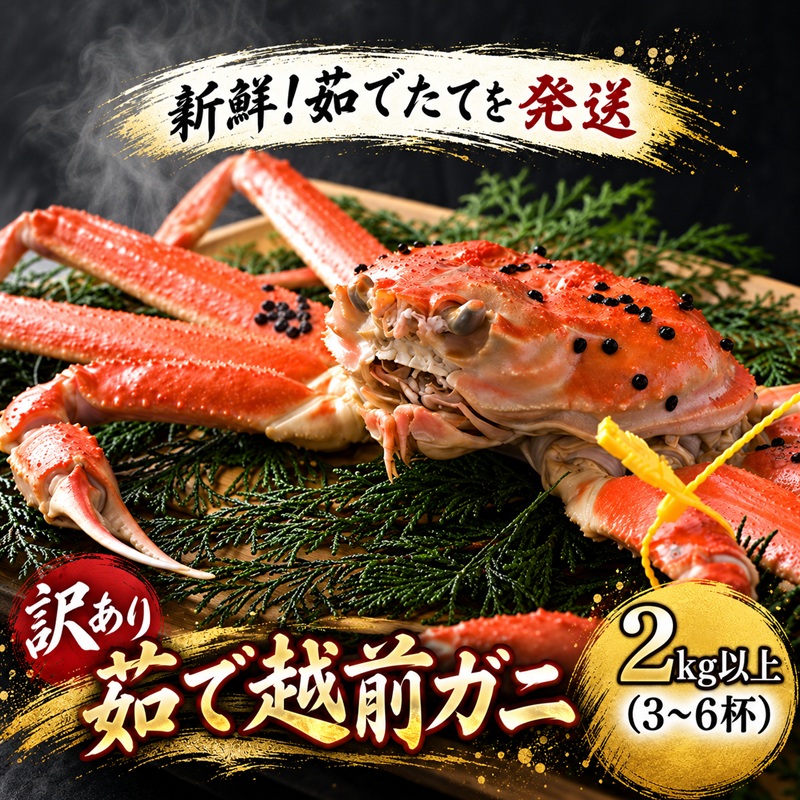 かに 訳あり 茹で 越前がに 約2kg以上3～6杯 脚折れ含む ずわい蟹 ボイルカニ ボイル