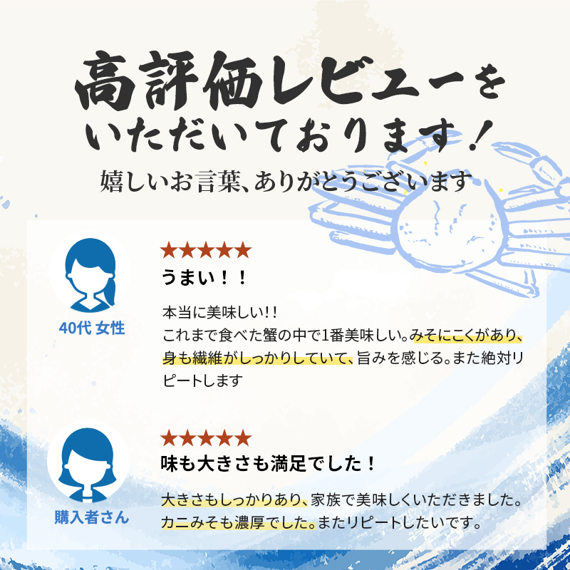 期間限定 茹で 越前ガニ 約700g以上 1杯 年内届け 茹でガニ 越前カニ 越前蟹 ズワイガニ ずわい蟹 カニ かに 蟹 ボイルカニ ボイル蟹 ポーション 魚介 魚介類 海鮮 限定 福井 福井県 若狭町