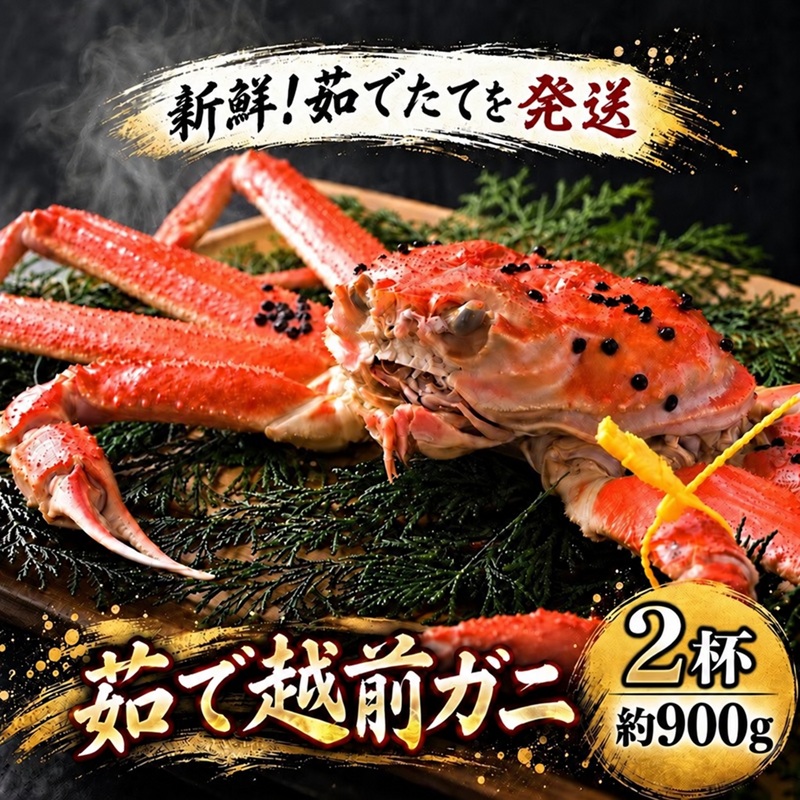 茹で越前ガニ【期間限定】食通もうなる本場の味をぜひ、ご堪能ください。約900g 2尾セット 越前がに 越前かに 越前カニ カニ ボイルガニ ずわい蟹 ずわいガニ ズワイガニ 蟹 