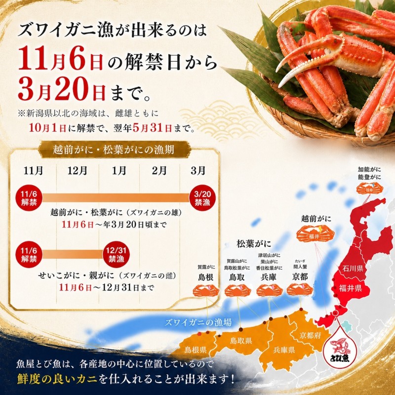 茹で越前ガニ【期間限定】食通もうなる本場の味をぜひ、ご堪能ください。約900g 2尾セット 越前がに 越前かに 越前カニ カニ ボイルガニ ずわい蟹 ずわいガニ ズワイガニ 蟹 