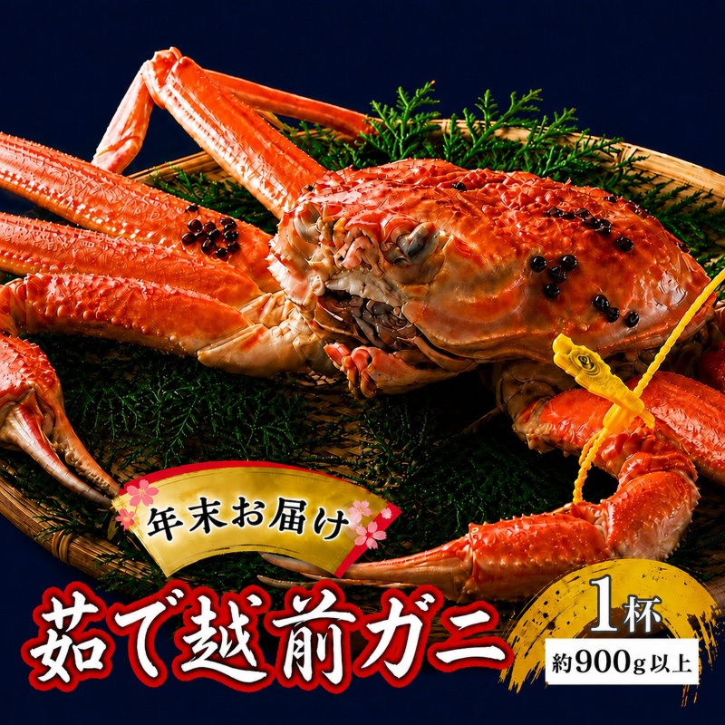 茹で 越前ガニ 約900g以上 1杯 年末配送 食通もうなる本場の味をぜひ、ご堪能ください 越前かに 蟹 カニ かに ボイルカニ ボイル蟹 ポーション ズワイガニ ずわい蟹 海鮮 福井 福井県 若狭町