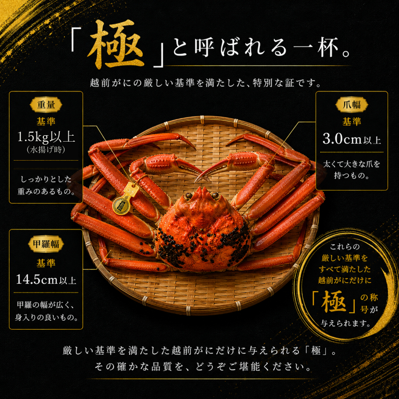 茹で越前ガニ 極！【期間限定】食通もうなる本場の味をぜひ、ご堪能ください。約1.5kg以上（極）越前がに 越前かに 越前カニ カニ ボイルガニ ずわい蟹 ずわいガニ ズワイガニ 蟹 