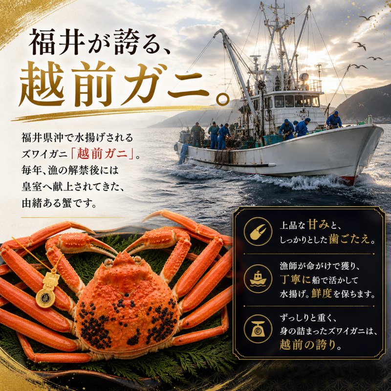 期間限定 茹で 越前ガニ 約1.2kg 2杯 食通もうなる本場の味をぜひ、ご堪能ください 越前かに 蟹 カニ かに ボイルカニ ポーション ズワイガニ 海鮮 限定 福井 福井県 若狭町