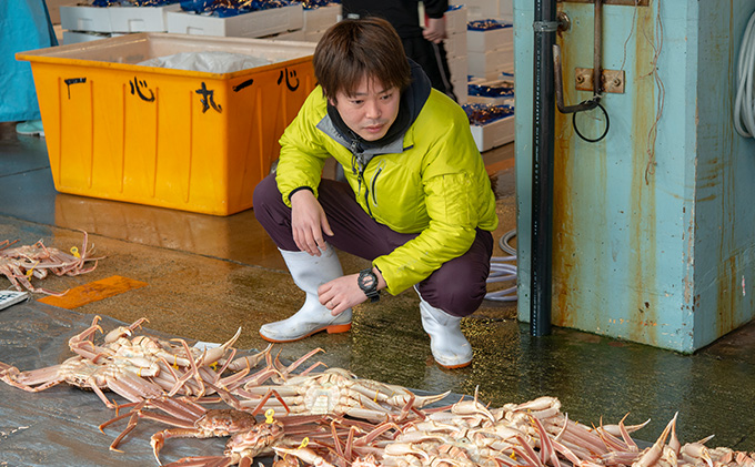 茹で越前ガニ【期間限定】食通もうなる本場の味をぜひ、ご堪能ください。約1.5kg以上（極）越前がに 越前かに 越前カニ カニ ボイルガニ