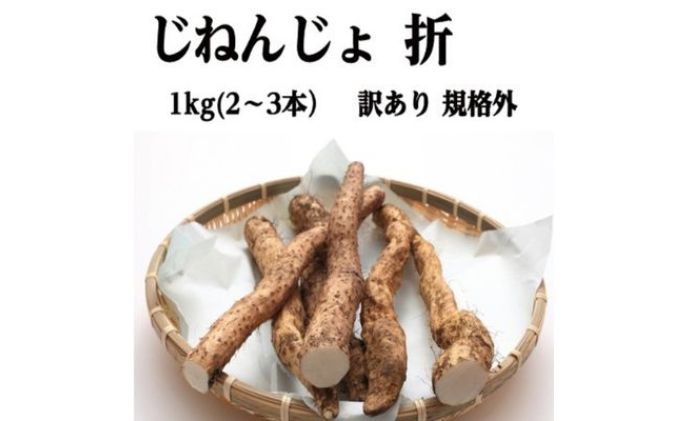 自然薯 訳あり 規格外 1kg（2-3本）