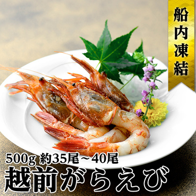 越前ガラエビ 約500g（約35～40尾）