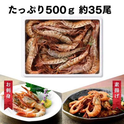 越前ガラエビ 約500g（約35～40尾）