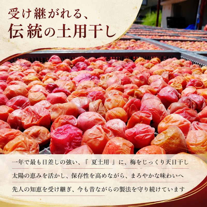昔ながらの梅干し 一級品（福井県若狭町）伝統製法にこだわり仕上げた無添加・無着色の梅干し／ケース入り400g ご飯のお供 肉厚 種が小さい 紅映 天然塩 鮮やか 芳醇な香り コク 紫蘇漬け 二度漬け すっぱい 国産 紅映梅 べにさし梅 福井梅