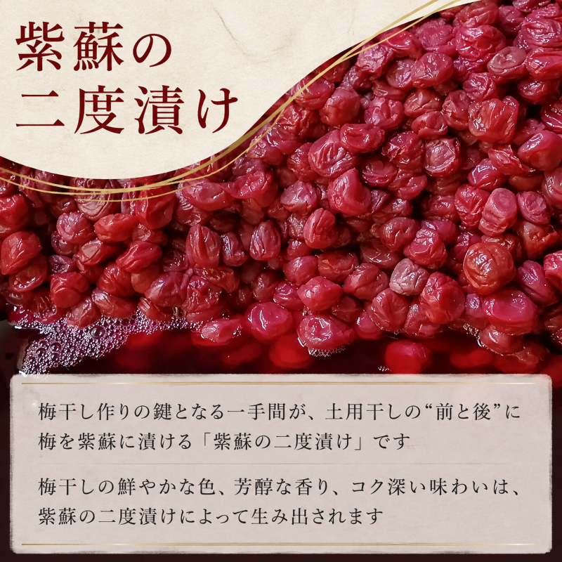 昔ながらの梅干し 一級品（福井県若狭町）伝統製法にこだわり仕上げた無添加・無着色の梅干し／ケース入り400g ご飯のお供 肉厚 種が小さい 紅映 天然塩 鮮やか 芳醇な香り コク 紫蘇漬け 二度漬け すっぱい 国産 紅映梅 べにさし梅 福井梅