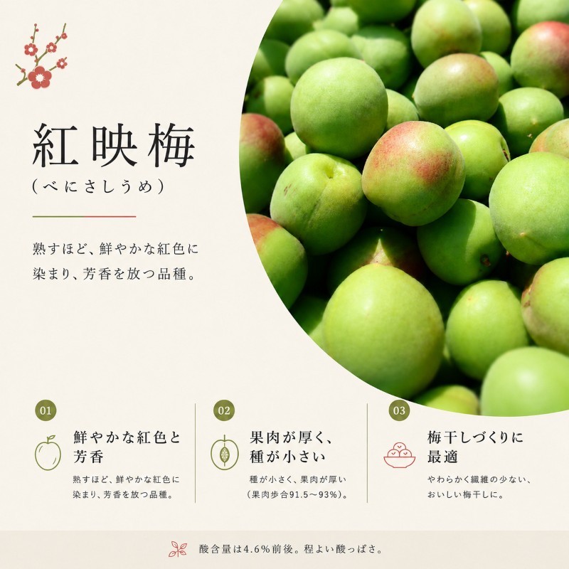 【訳あり】大入り梅干し130g×6袋 合計780g【保存容器付き】 発酵食品 昔ながらの梅干し すっぱい しそ漬け 塩分18％ Lサイズ 紅映梅を使用 福井県の特産 訳ありはパッケージ変更のため 