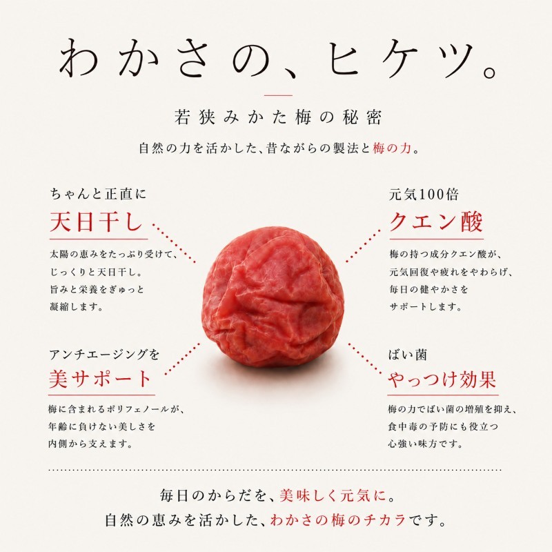 【訳あり】大入り梅干し130g×6袋 合計780g【保存容器付き】 発酵食品 昔ながらの梅干し すっぱい しそ漬け 塩分18％ Lサイズ 紅映梅を使用 福井県の特産 訳ありはパッケージ変更のため 