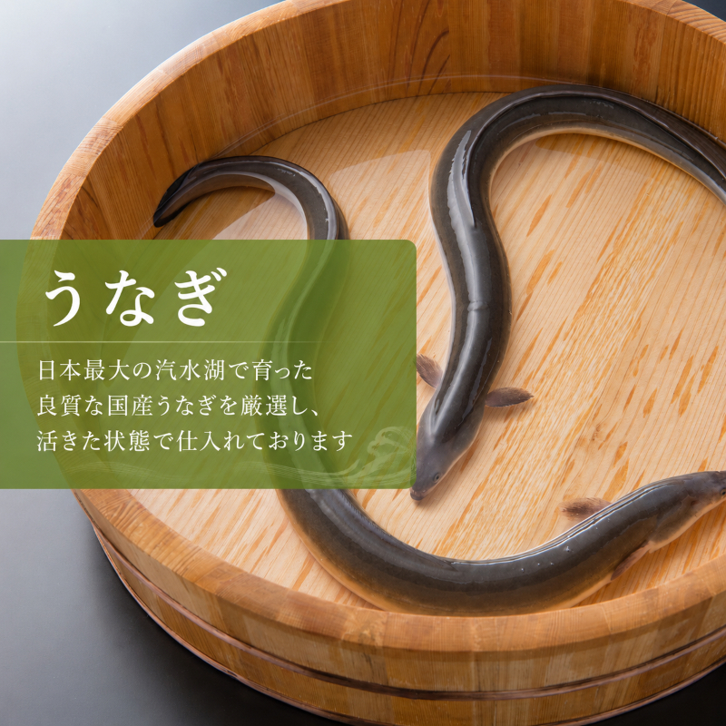 数量限定 国産うなぎ 蒲焼き 2尾 セット 詰め合わせ うなぎ 鰻 ウナギ 国産 うなぎの蒲焼き 鰻の蒲焼 老舗うなぎ専門店 徳右ェ門 魚介 魚介類 海鮮 限定 福井 福井県 若狭町