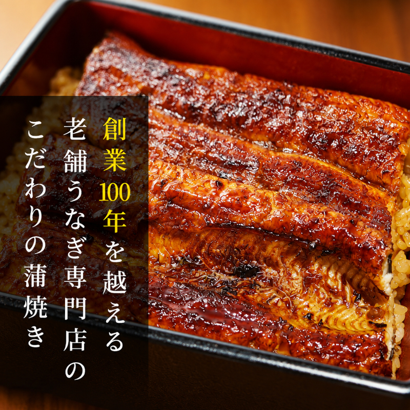 数量限定 国産うなぎ 蒲焼き 2尾 セット 詰め合わせ うなぎ 鰻 ウナギ 国産 うなぎの蒲焼き 鰻の蒲焼 老舗うなぎ専門店 徳右ェ門 魚介 魚介類 海鮮 限定 福井 福井県 若狭町