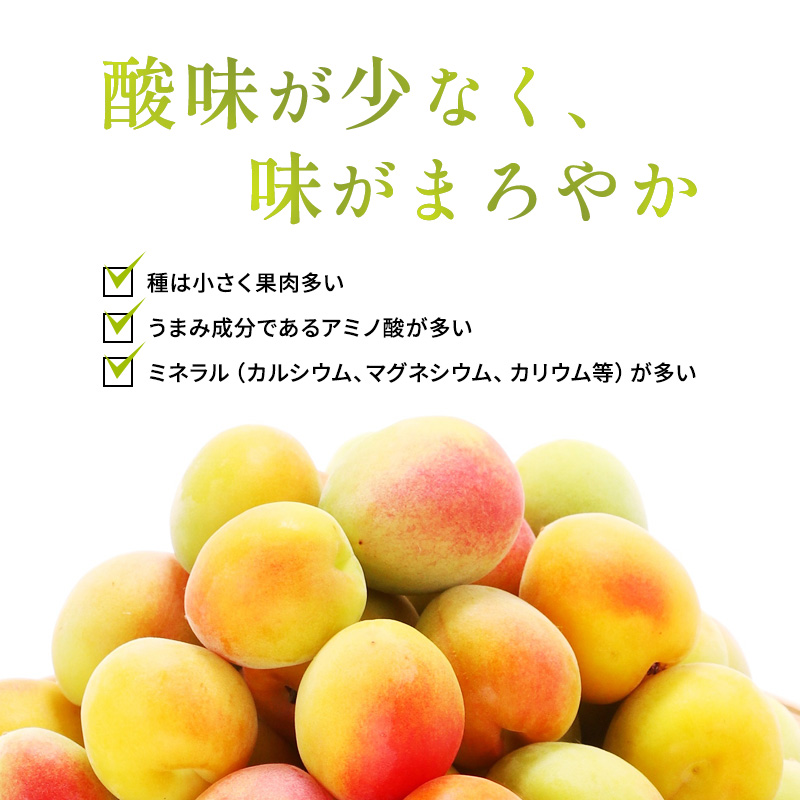 梅酒 高島屋選定品 BENICHU20° BENICHU38° 750ml 2本 甘くない梅酒 飲み比べセット お酒 リキュール 高島屋 うめしゅ 酒 アルコール 飲み比べ セット 紅映梅 微糖 無糖 梅 うめ ウメ 福井県 福井