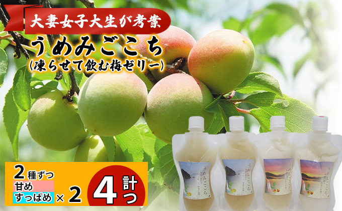 うめみごこち（凍らせて飲む梅ゼリー）2種（甘め、すっぱめ）各2つずつ合計4つ　大妻女子大生が考案