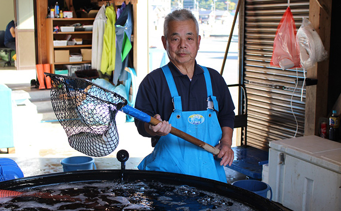 【祝北陸新幹線延伸】福井県ブランド若狭ふぐ　てっさ・てっちり料理自慢セット（3～4人前）