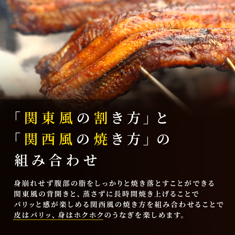 数量限定 国産うなぎ 蒲焼き 2尾 セット 詰め合わせ うなぎ 鰻 ウナギ 国産 うなぎの蒲焼き 鰻の蒲焼 老舗うなぎ専門店 徳右ェ門 魚介 魚介類 海鮮 限定 福井 福井県 若狭町