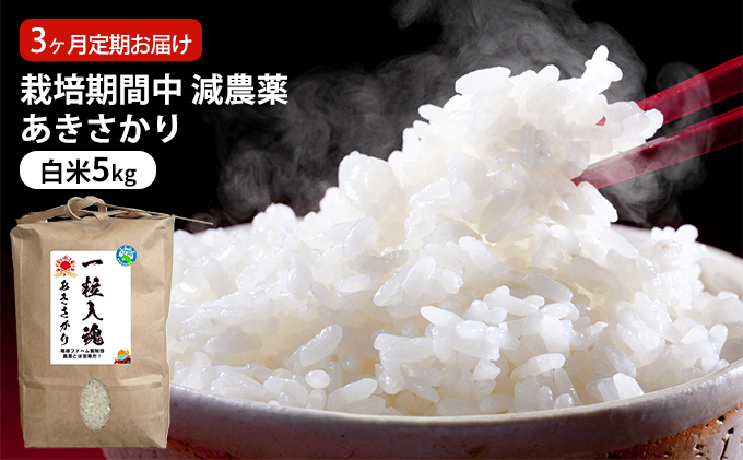 栽培期間中 減農薬あきさかり 白米5kg 3ヶ月定期お届け お米ブランド米 精米 ご飯 おにぎり お弁当 和食 福井県認証特別栽培米 強い甘み ほどよい粘り 白度が高い 