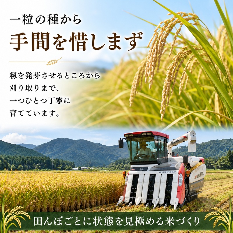 米 令和8年産 ひとめぼれ 10kg (5kg×2)  白米 精米 単一原料米 一等米 ブランド米