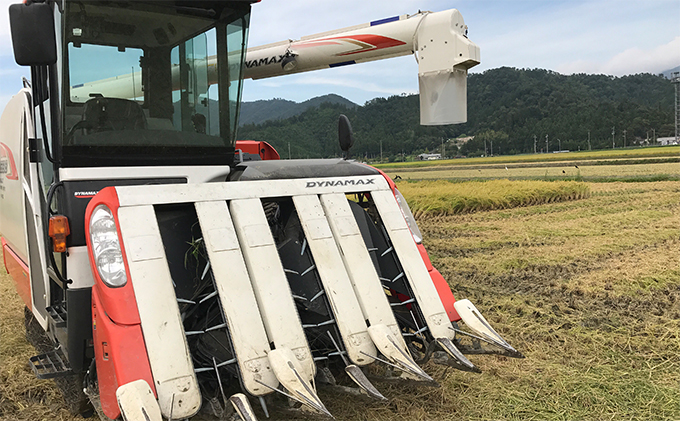 6ケ月連続 福井県若狭町ひとめぼれ（一等米）10kg（5kg×2）（神谷農園）