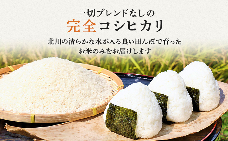 【令和6年度産】新米 先行予約 コシヒカリ 10kg 一等米 米 お米 おこめ こめ コメ 白米 精米 ご飯 ごはん たごころ農園 福井県 福井