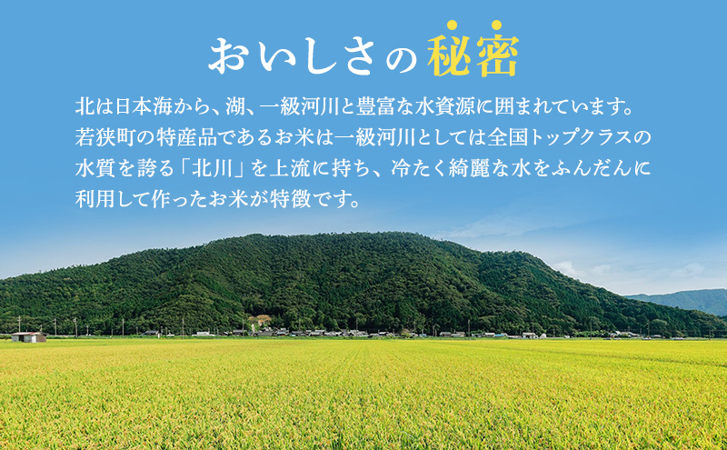 【令和6年度産】新米 先行予約 コシヒカリ 10kg 一等米 米 お米 おこめ こめ コメ 白米 精米 ご飯 ごはん たごころ農園 福井県 福井