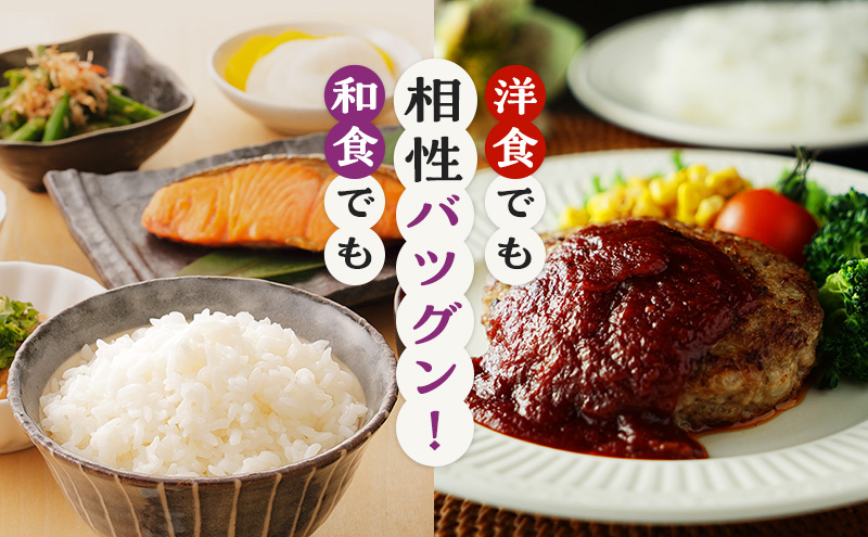 米 令和6年 コシヒカリ 10kg 一等米 お米 おこめ こめ コメ 白米 精米 新米 ご飯 ごはん 三宅カントリーファーム 福井県 福井