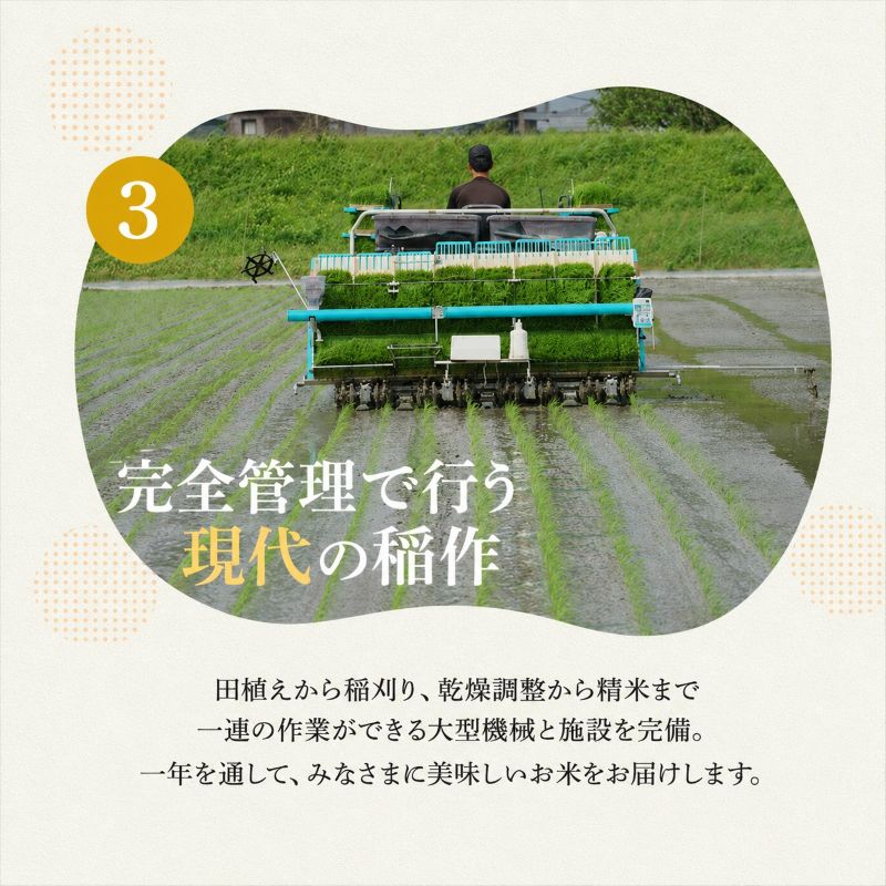【ふるさと納税】コシヒカリ 米 定期便 5kg 10kg 選べる 令和8年産 新米 先行予約 白米 精米 一等米 単一原料米 3ヶ月 6ヶ月 3回 6回 5キロ 10キロ お米 おこめ こめ ご飯 こしひかり 産地直送 福井県産 福井県　若狭町
