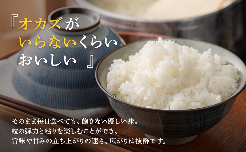 米 令和6年 いちほまれ 10kg 新米 精米 白米 お米 米 おこめ こめ コメ ご飯 ブランド米 令和6年産 福井 福井県 若狭町