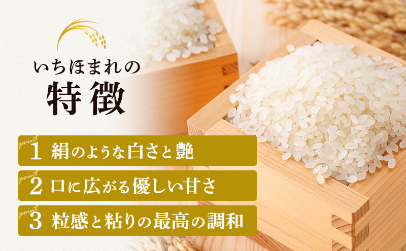 米 令和6年 いちほまれ 10kg 新米 精米 白米 お米 米 おこめ こめ コメ ご飯 ブランド米 令和6年産 福井 福井県 若狭町