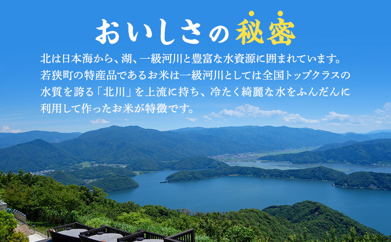 米 定期便 3ヶ月 農賊王のお宝分け 10kg 高島屋選定品 コシヒカリ こしひかり あきさかり イクヒカリ お米 おこめ こめ コメ 白米 精米 ご飯 ごはん 福井県 福井 3回 お楽しみ