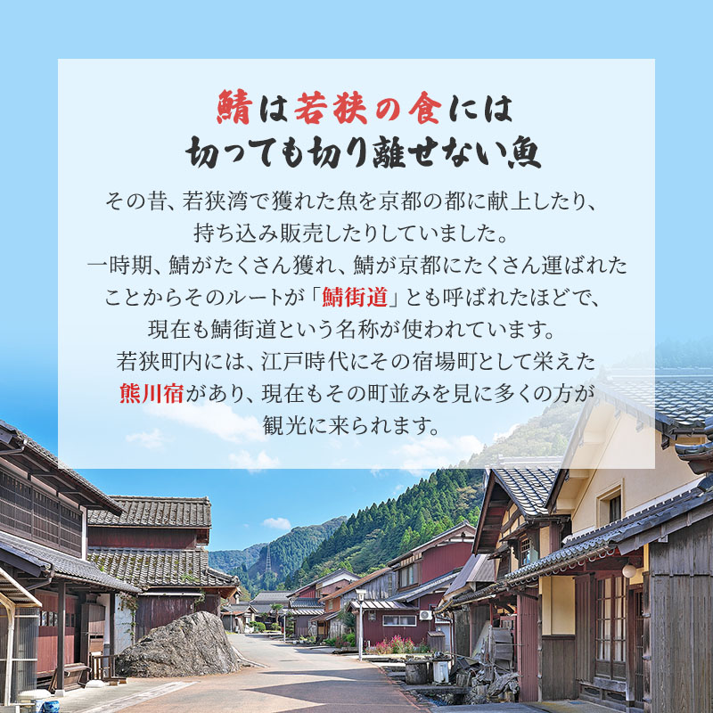 サバ缶 水煮 45缶 セット 詰め合わせ 若狭の鯖缶 鯖缶 さば缶 さば サバ 鯖 缶詰 缶詰め 魚 魚介 魚介類 海鮮 水煮缶 福井 福井県 若狭町