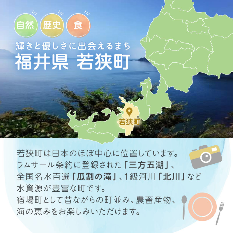 【祝北陸新幹線延伸】旅行 若狭町 プレミアム宿泊利用券 6000円分 1枚 宿泊補助券 福井県 福井 チケット 宿泊券 旅行券 宿泊 旅館 ホテル 6千円